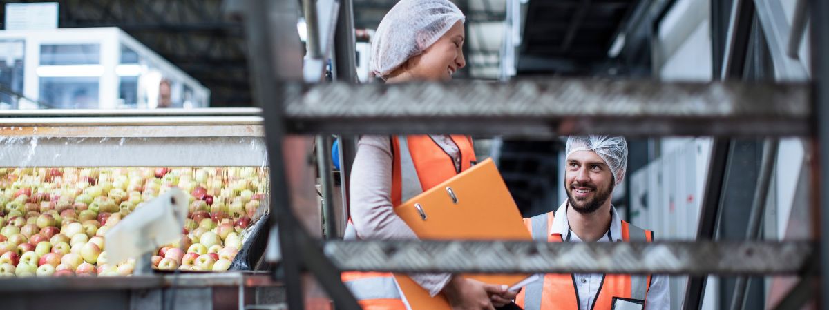 logistica de los alimentos