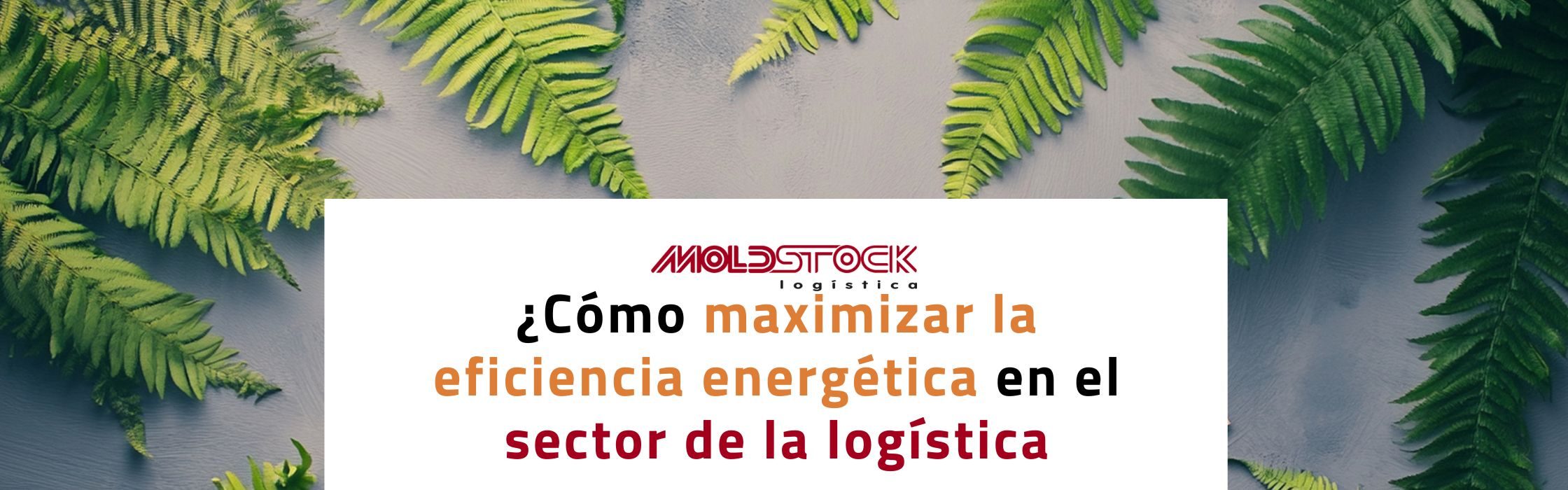 ¿Cómo maximizar la eficiencia energética en el sector de la logística?